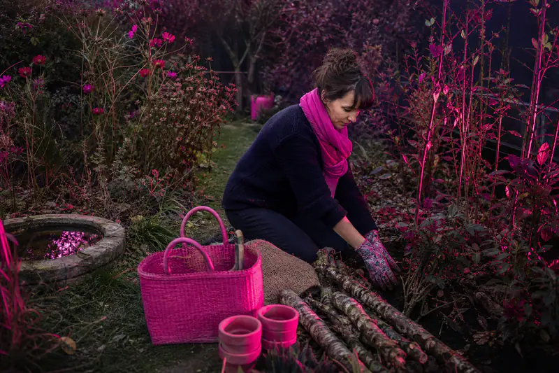 Jardin sauvage d’automne avec haie locale, fleurs sèches, tas de bois et point d’eau.