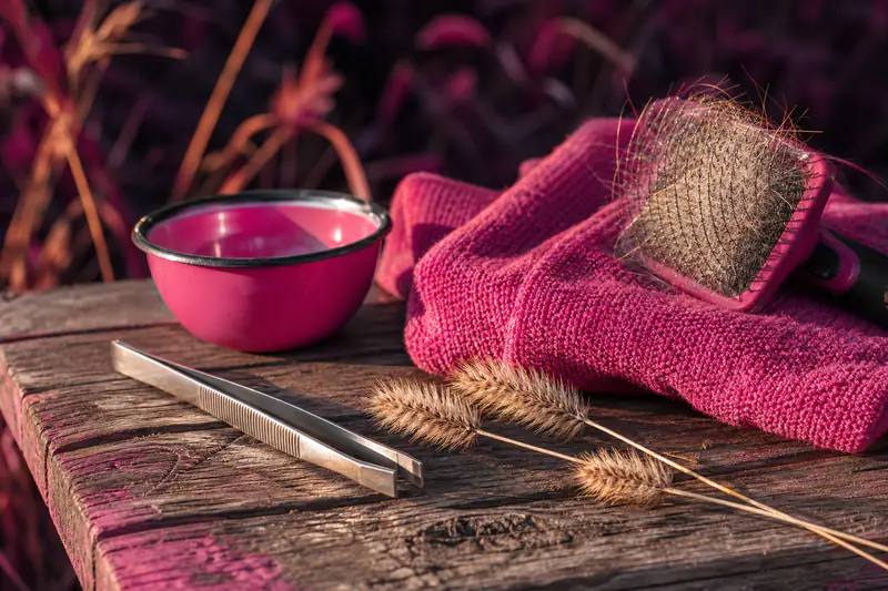 Pince à épiler, brosse et épillets de graminées séchées posés sur une table de jardin en bois