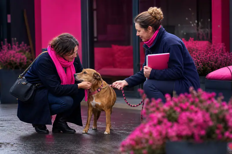 Femme rencontrant un chien adulte dans un refuge en hiver