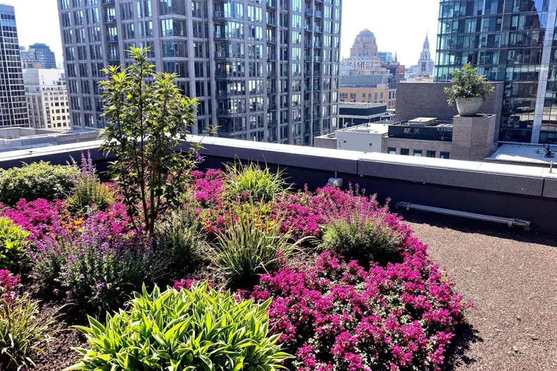 Jardin potager en bacs légers sur un toit-terrasse urbain en été