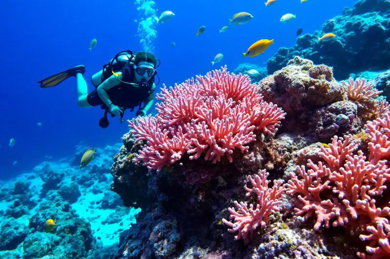 Plongeuse observant un récif tropical et des poissons dans une eau limpide