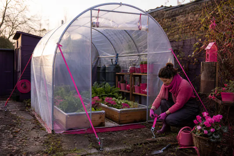 Petite serre tunnel économique ancrée dans un potager en hiver