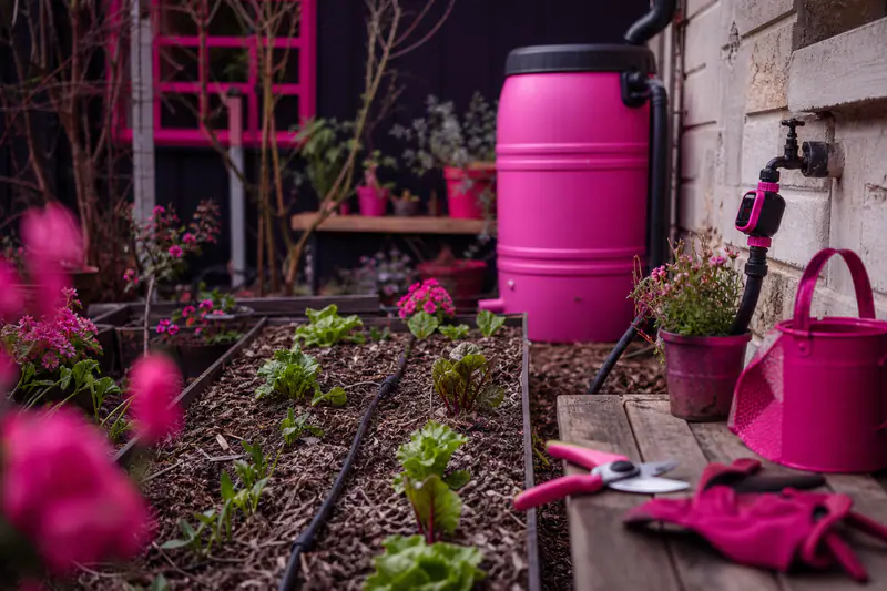 Goutte-à-goutte, cuve de pluie et programmateur dans un potager paillé